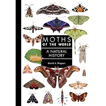 Butterflies of the World: A Guide to Every Subfamily | Amazon.com.br